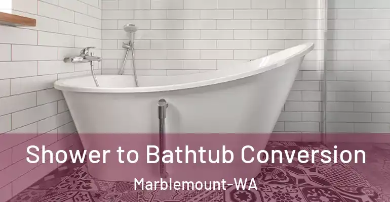 inner Bathroom imggen Shower to Bathtub Conversion Marblemount-WA