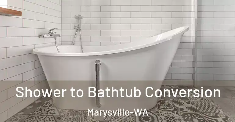 inner Bathroom imggen Shower to Bathtub Conversion Marysville-WA