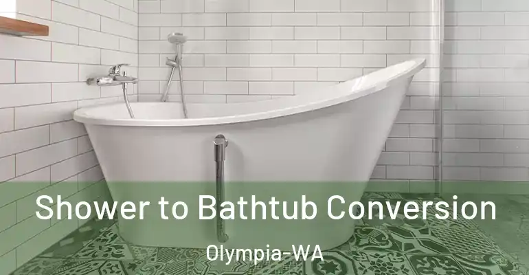 inner Bathroom imggen Shower to Bathtub Conversion Olympia-WA