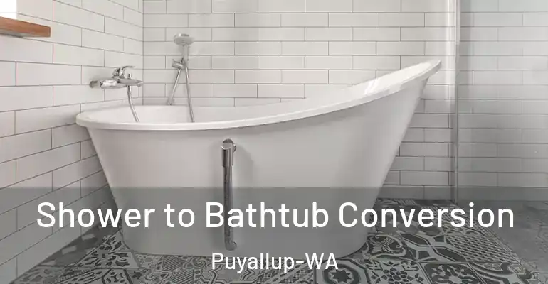 inner Bathroom imggen Shower to Bathtub Conversion Puyallup-WA