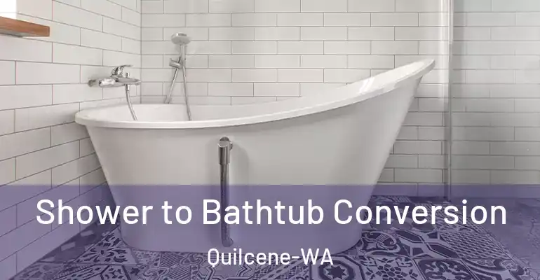 inner Bathroom imggen Shower to Bathtub Conversion Quilcene-WA
