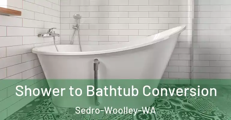 inner Bathroom imggen Shower to Bathtub Conversion Sedro-Woolley-WA