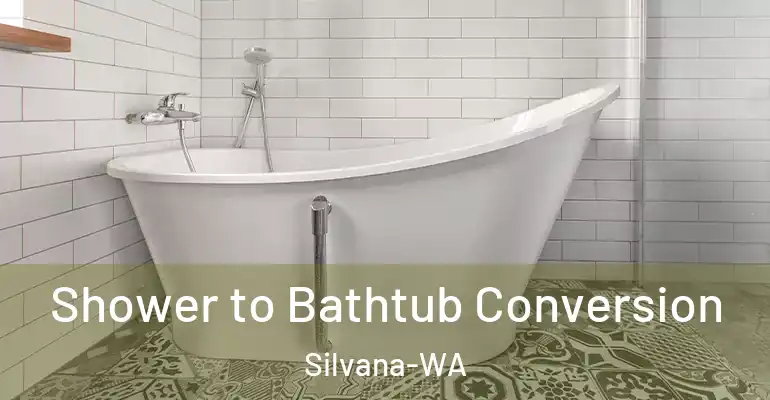 inner Bathroom imggen Shower to Bathtub Conversion Silvana-WA