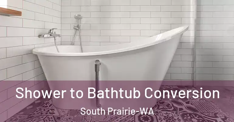 inner Bathroom imggen Shower to Bathtub Conversion South Prairie-WA