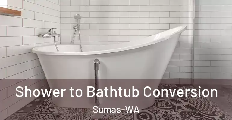 inner Bathroom imggen Shower to Bathtub Conversion Sumas-WA