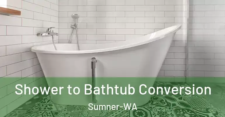 inner Bathroom imggen Shower to Bathtub Conversion Sumner-WA