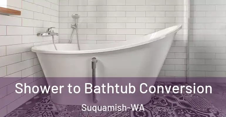 inner Bathroom imggen Shower to Bathtub Conversion Suquamish-WA