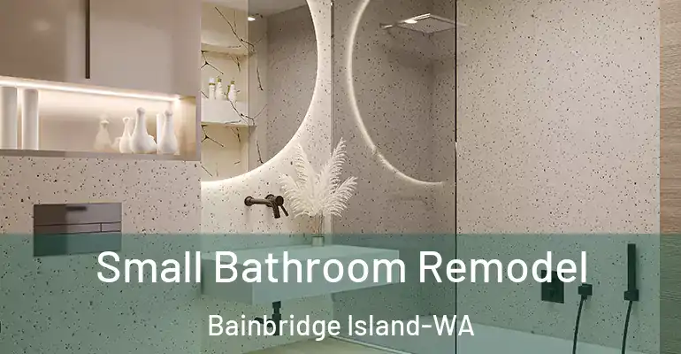 inner Bathroom imggen Small Bathroom Remodel Bainbridge Island-WA