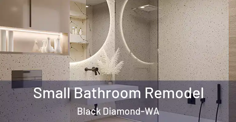 inner Bathroom imggen Small Bathroom Remodel Black Diamond-WA