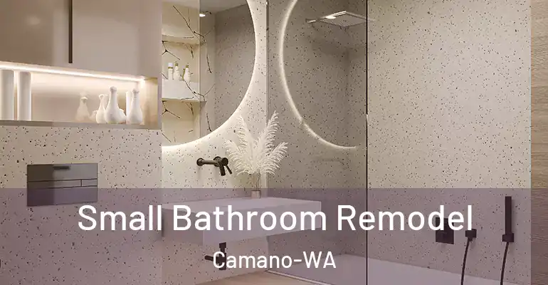 inner Bathroom imggen Small Bathroom Remodel Camano-WA
