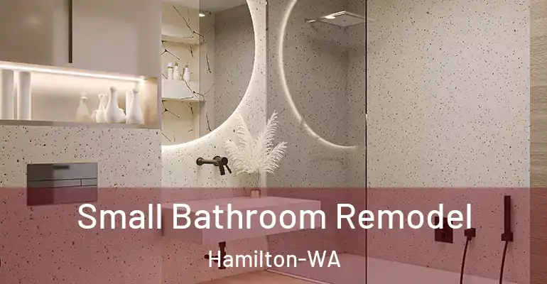 inner Bathroom imggen Small Bathroom Remodel Hamilton-WA