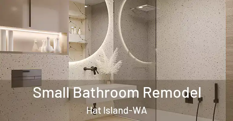 inner Bathroom imggen Small Bathroom Remodel Hat Island-WA