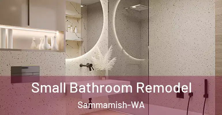 inner Bathroom imggen Small Bathroom Remodel Sammamish-WA