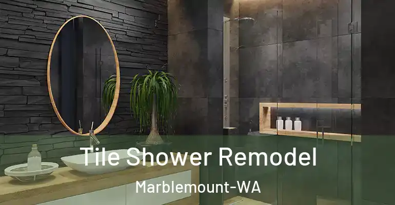 inner Bathroom imggen Tile Shower Remodel Marblemount-WA