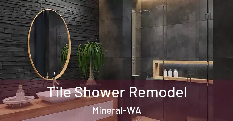 inner Bathroom imggen Tile Shower Remodel Mineral-WA