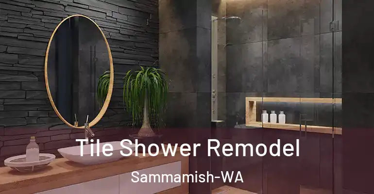 inner Bathroom imggen Tile Shower Remodel Sammamish-WA