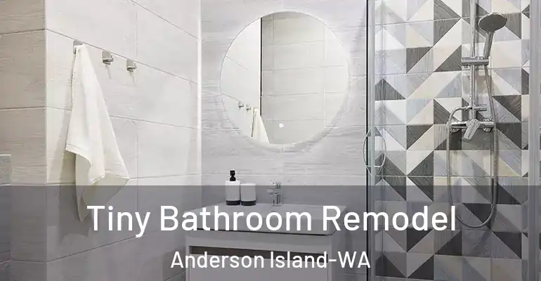 inner Bathroom imggen Tiny Bathroom Remodel Anderson Island-WA