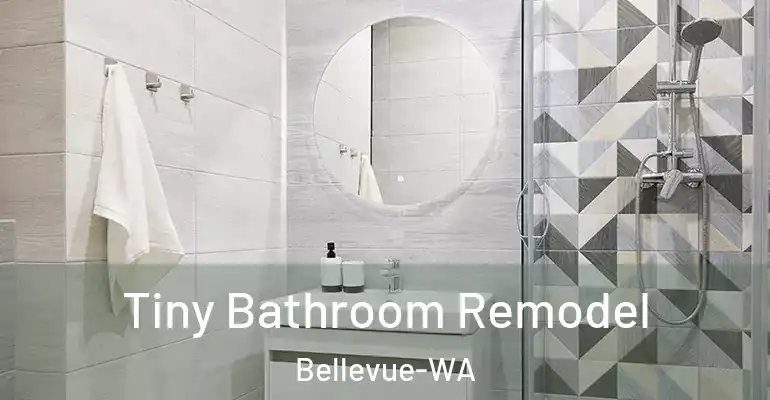 inner Bathroom imggen Tiny Bathroom Remodel Bellevue-WA
