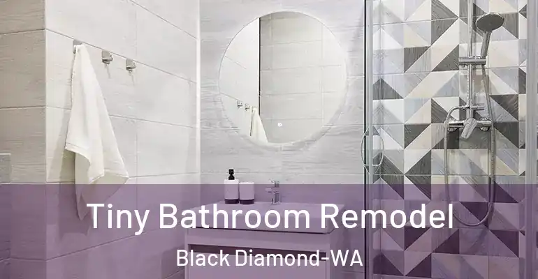 inner Bathroom imggen Tiny Bathroom Remodel Black Diamond-WA