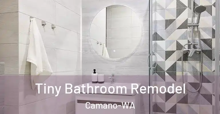 inner Bathroom imggen Tiny Bathroom Remodel Camano-WA