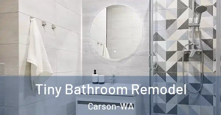 inner Bathroom imggen Tiny Bathroom Remodel Carson-WA
