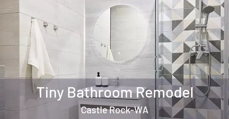 inner Bathroom imggen Tiny Bathroom Remodel Castle Rock-WA