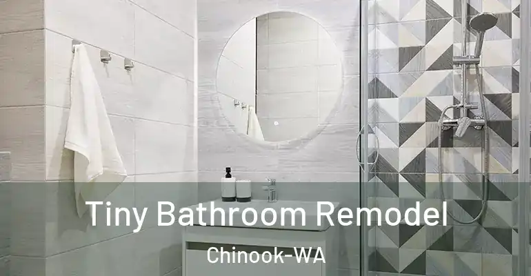 inner Bathroom imggen Tiny Bathroom Remodel Chinook-WA