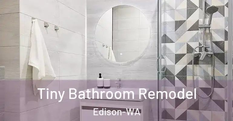 inner Bathroom imggen Tiny Bathroom Remodel Edison-WA