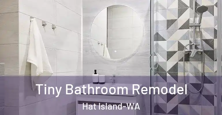 inner Bathroom imggen Tiny Bathroom Remodel Hat Island-WA