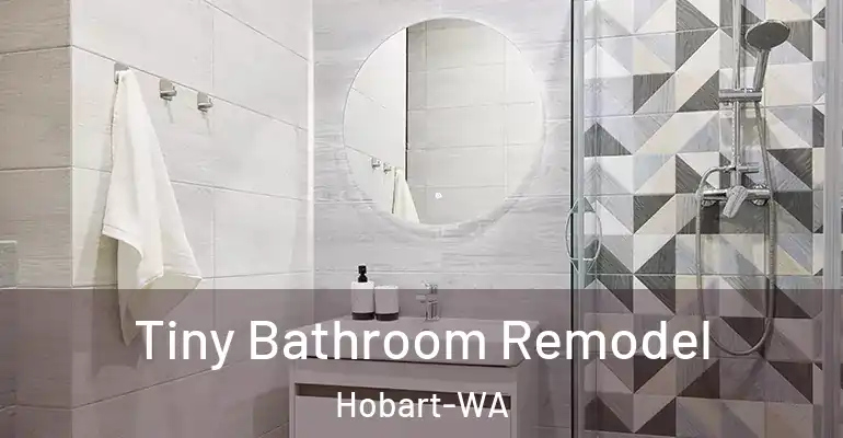 inner Bathroom imggen Tiny Bathroom Remodel Hobart-WA