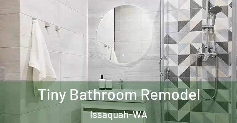 inner Bathroom imggen Tiny Bathroom Remodel Issaquah-WA