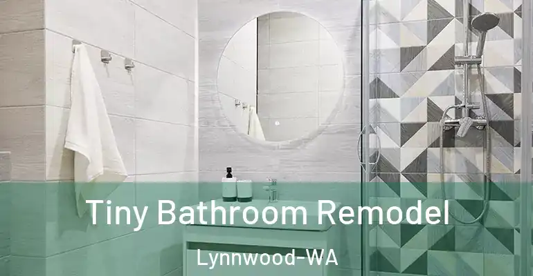 inner Bathroom imggen Tiny Bathroom Remodel Lynnwood-WA