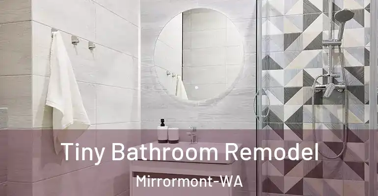 inner Bathroom imggen Tiny Bathroom Remodel Mirrormont-WA