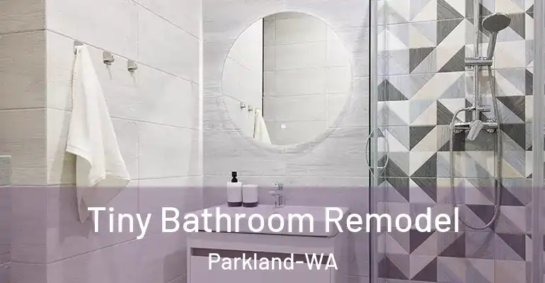 inner Bathroom imggen Tiny Bathroom Remodel Parkland-WA
