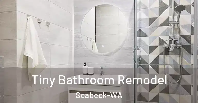 inner Bathroom imggen Tiny Bathroom Remodel Seabeck-WA