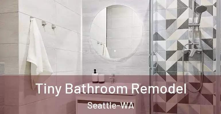 inner Bathroom imggen Tiny Bathroom Remodel Seattle-WA