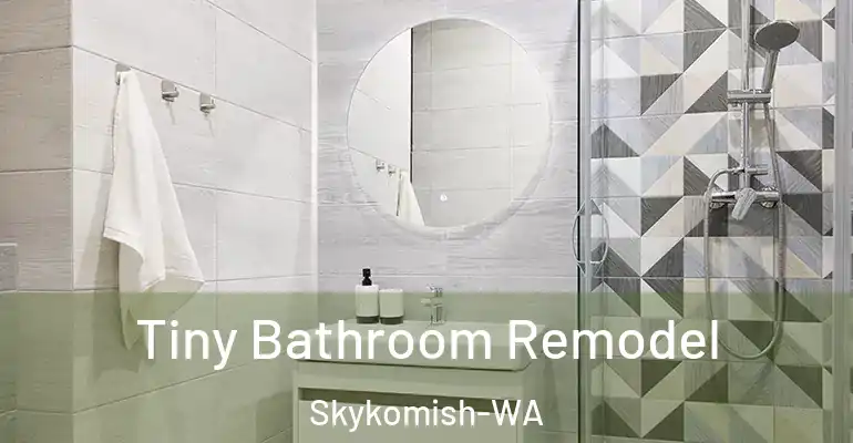 inner Bathroom imggen Tiny Bathroom Remodel Skykomish-WA