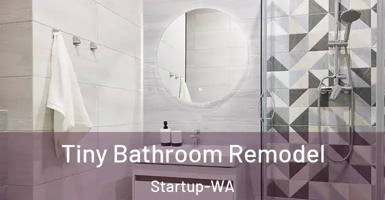 inner Bathroom imggen Tiny Bathroom Remodel Startup-WA