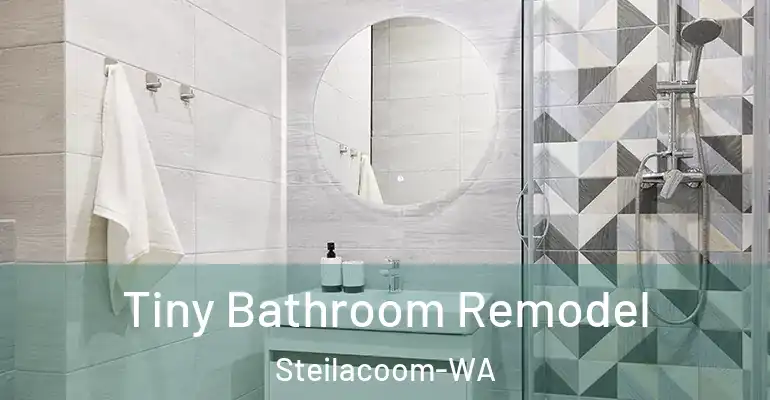 inner Bathroom imggen Tiny Bathroom Remodel Steilacoom-WA