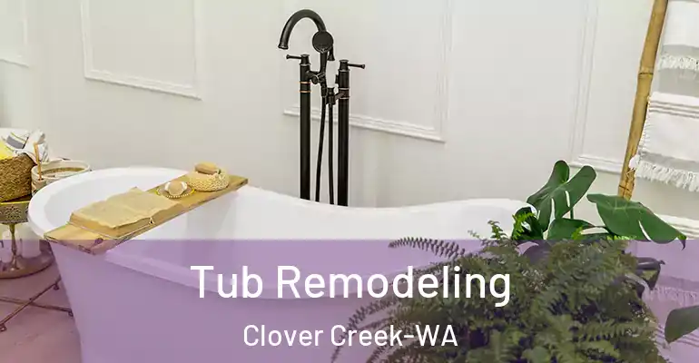 inner Bathroom imggen Tub Remodeling Clover Creek-WA