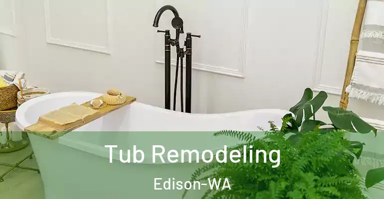 inner Bathroom imggen Tub Remodeling Edison-WA