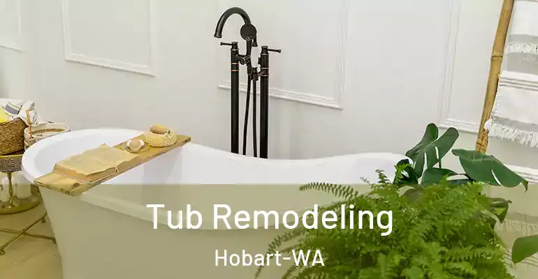 inner Bathroom imggen Tub Remodeling Hobart-WA