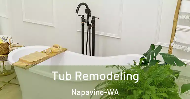 inner Bathroom imggen Tub Remodeling Napavine-WA