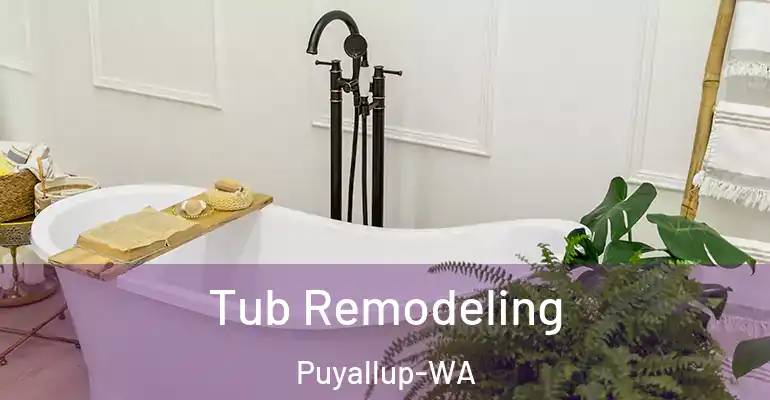 inner Bathroom imggen Tub Remodeling Puyallup-WA