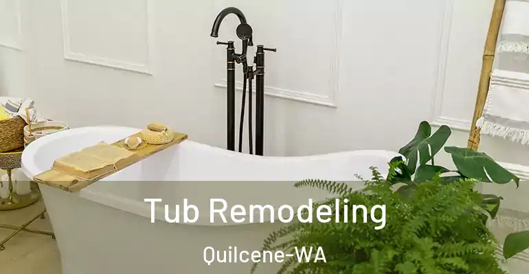 inner Bathroom imggen Tub Remodeling Quilcene-WA