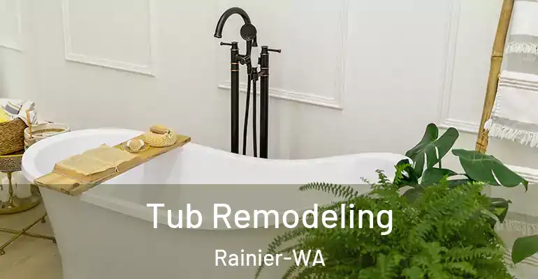 inner Bathroom imggen Tub Remodeling Rainier-WA