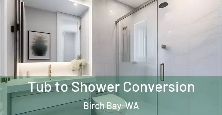 inner Bathroom imggen Tub to Shower Conversion Birch Bay-WA
