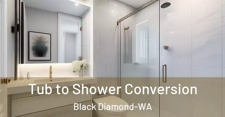 inner Bathroom imggen Tub to Shower Conversion Black Diamond-WA