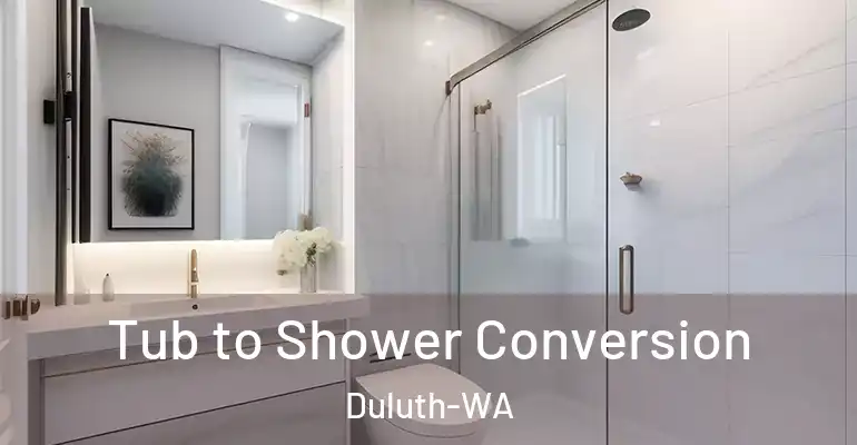 inner Bathroom imggen Tub to Shower Conversion Duluth-WA