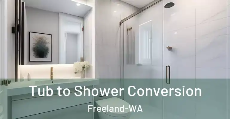 inner Bathroom imggen Tub to Shower Conversion Freeland-WA